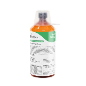 B-Vit Supply 1.000 ml