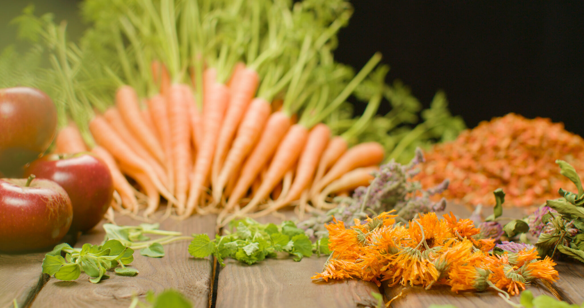 4k-Stills.00_02_08_00.Still041-kopi-2048x1080